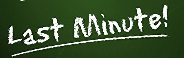 Last minute camping deals new forest
