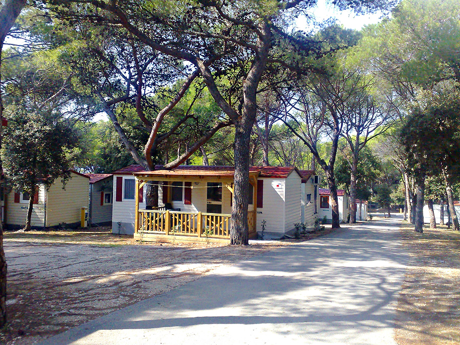 Camp Kozarica