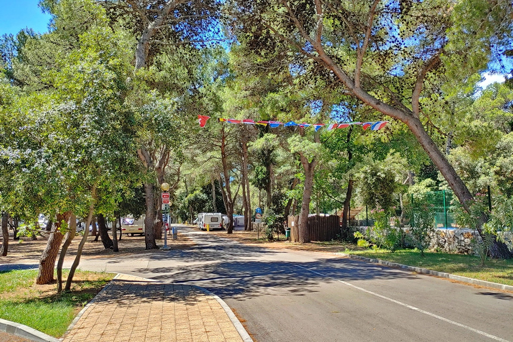 Kamp Kozarica
